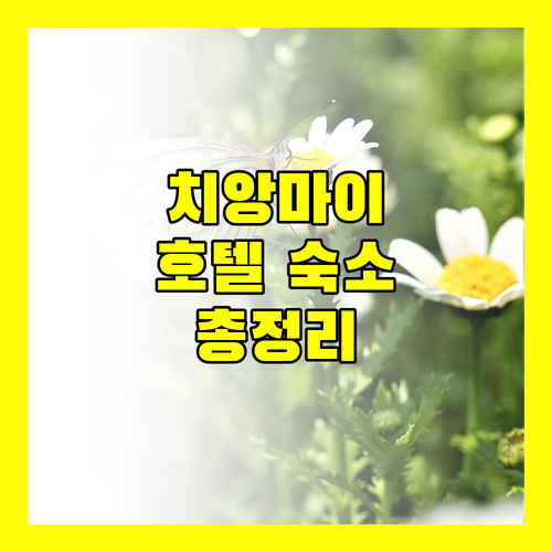 치앙마이 인기 호텔 숙소 규정 및 실제 리뷰 총정리