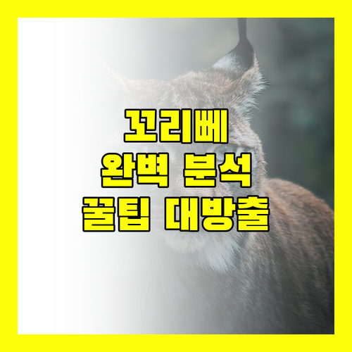 태국 꼬 리뻬 리조트 완전 정복! 가격, 위치, 서비스 비교 분석!