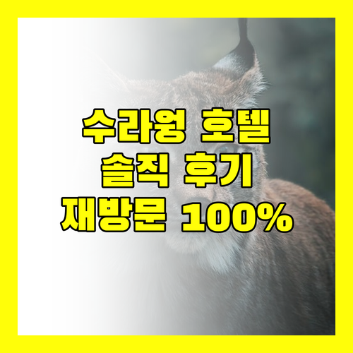 그랜드 센터 포인트 수라웡 방콕, 재방문 의사 100%! 솔직 후기 대방출
