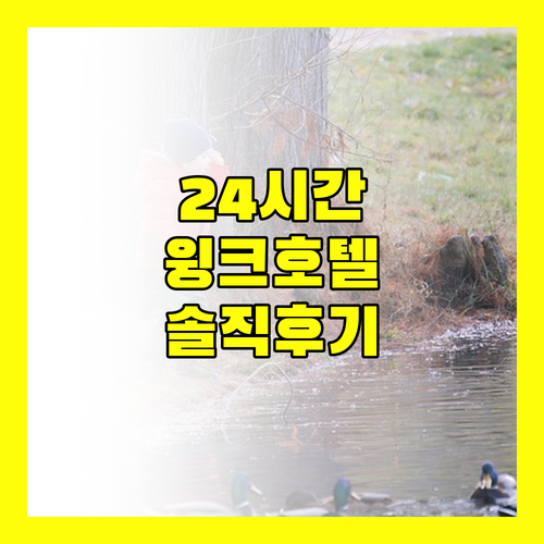 24시간 풀 스테이 윙크 호텔 다낭 리버사이드 솔직 후기