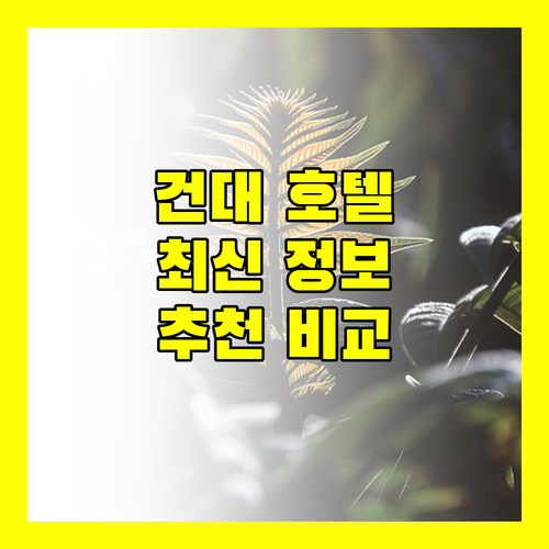 2024 최신 정보! 건대 호텔 추천, 리모델링 & 프리미어 호텔 비교 분석