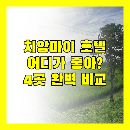 치앙마이 호텔 추천 멜리아, 쿰 파야, 샬라 넘버6, 샹그릴라 완벽 분석