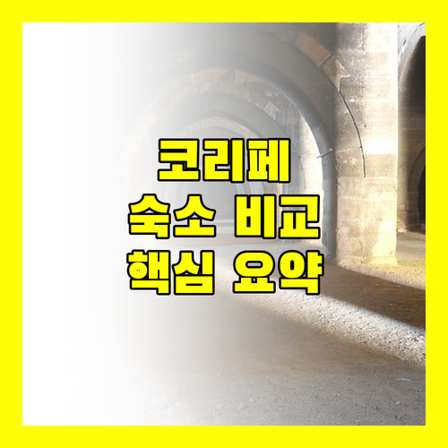 코 리페 인기 숙소 비교 아키라, 아난야, 분다야, 마운틴 리조트 완벽 분석