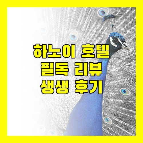 하노이 호텔 예약 전 필독! 여행객이 직접 경험한 생생 리뷰
