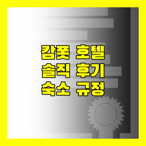 캄폿 호텔 완벽 분석! 여행객이 남긴 솔직 후기 & 숙소 규정 총정리