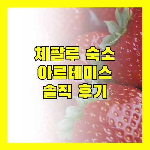 체팔루 여행객 필독 아르테미스 호텔 숙박 후기, 장점과 단점 완벽 분석!