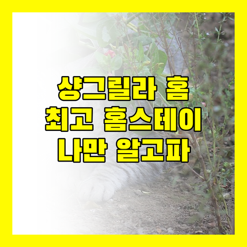 샹그릴라 홈스테이Top 3 추천! 나만 알고 싶은 최고의 숙소는?