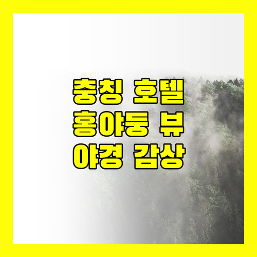 충칭 뷰 맛집 호텔? 홍야둥 야경 감상 후기!