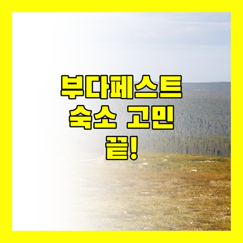 부다페스트 숙소 고민 끝! 생생한 리뷰와 규정으로 보는 호텔 선택 꿀팁