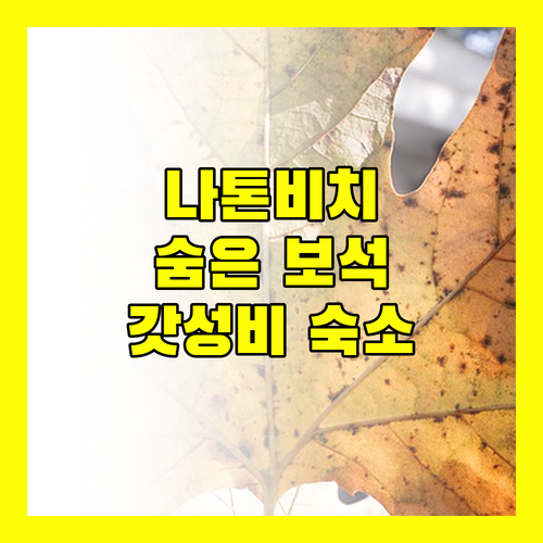 나톤 비치 숨은 보석, 진타 호텔! 가성비 끝판왕일까?