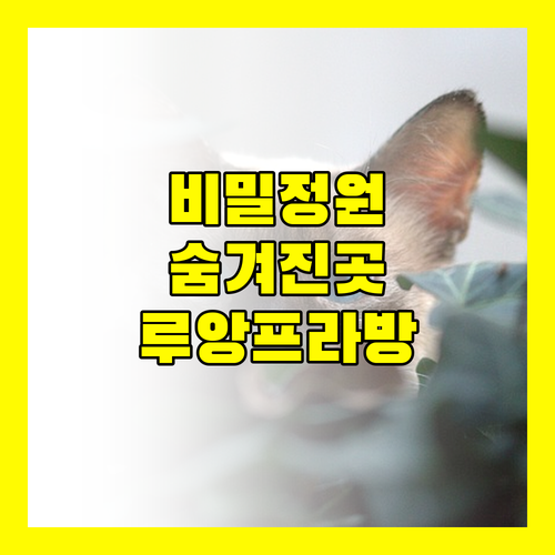 The Secret Luang Prabang, 숨겨진 낙원에서 만나는 특별한 경험