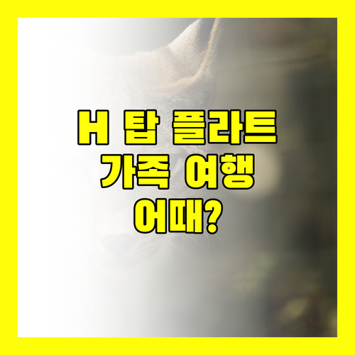H 탑 플라트하 파크? 가족 여행객에게 딱 맞는 숙소일까