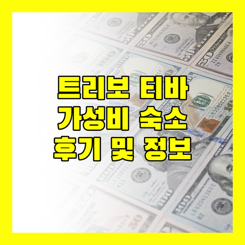 트리보 티바 호텔 가성비 숙소 후기 조식 및 편의시설 정보
