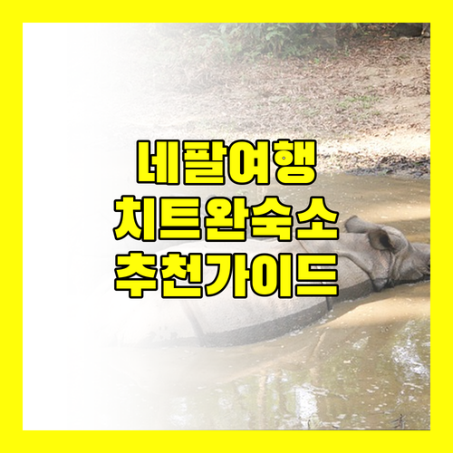 네팔 치트완 여행 최고의 숙소 선택 가이드