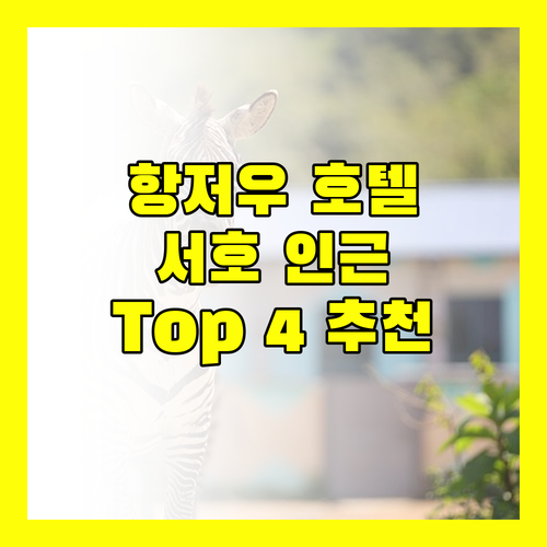 항저우 호텔 추천 서호 인근 인기 숙소 Top 4 완전 분석!
