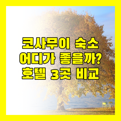 코사무이 여행, 어디서 묵을까? ZAYN 사무이 호텔 vs SimPly Stay vs 아메시스트 부티크 호텔!