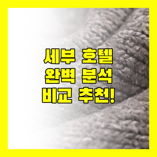세부 호텔 완벽 분석 가격, 위치, 후기 비교 추천!