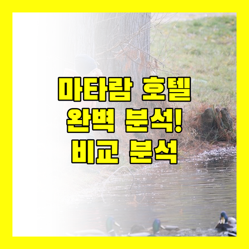 마타람 호텔 완벽 분석! 가격, 위치, 청결도 비교