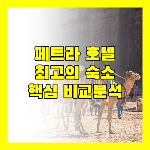 페트라 여행 숙소 완벽 가이드 인기 호텔 비교 분석