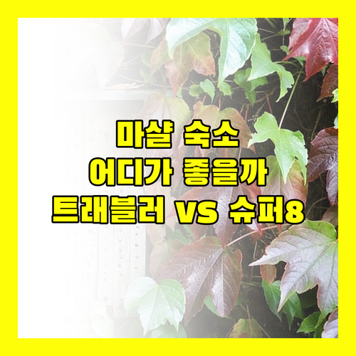 마샬 여행객 필독! 트래블러 로지 vs 슈퍼 8 vs OYO 호텔, 어디가 좋을까? 🤔