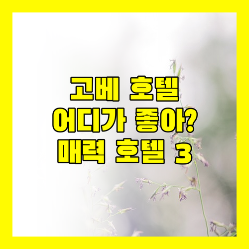 고베 호텔 추천, 어디가 좋을까? 🏨 3곳의 매력적인 호텔 파헤치기!