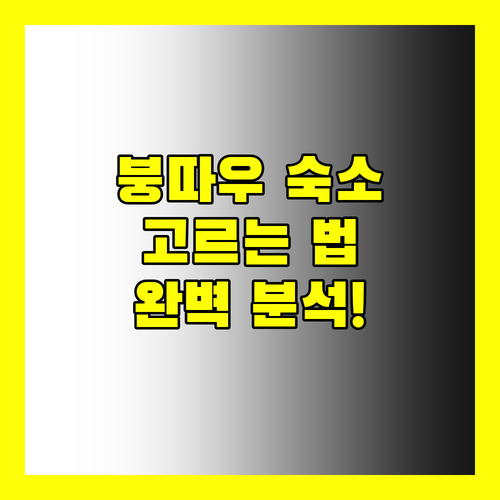 붕따우 여행, 후회 없는 숙소 선택! 완벽 분석 & 추천!
