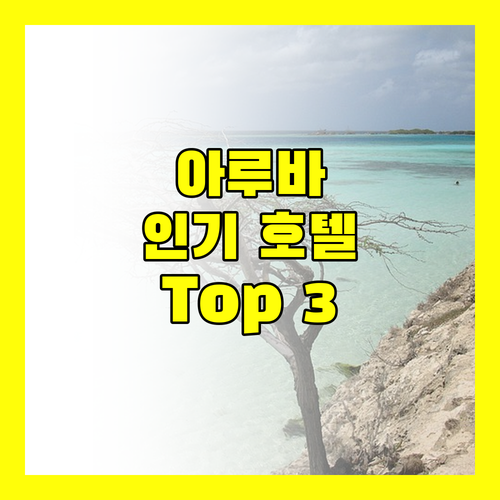 아루바 여행객 필독 코치 인기 호텔 Top 3 전격 비교