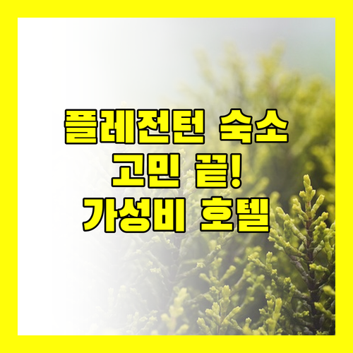 플레전턴 숙소 고민 끝! 가성비 & 위치 좋은 호텔 추천 (ft. 솔직 리뷰)