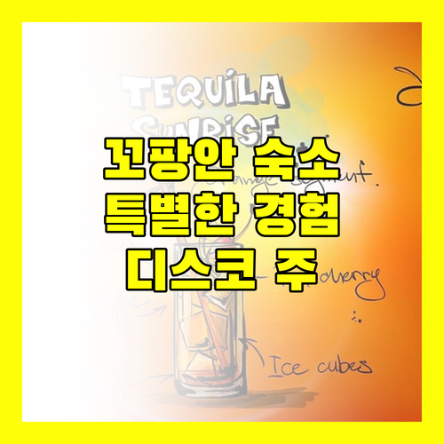 디스코 주 바 앤 호스텔, 꼬팡안에서 특별한 경험을 원한다면?