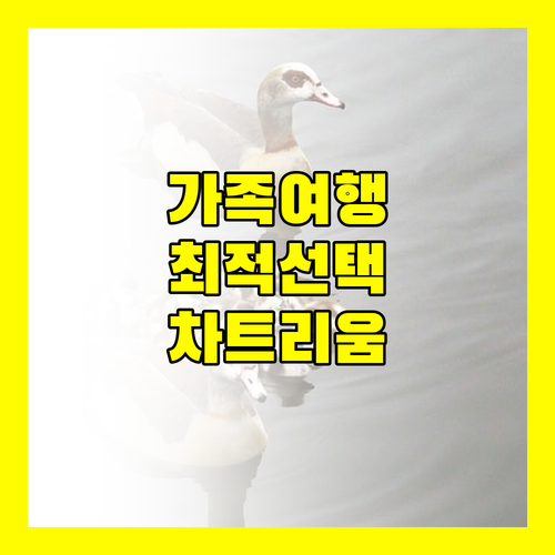 차트리움 그랜드 방콕, 가족 여행객에게 최고의 선택인 이유!