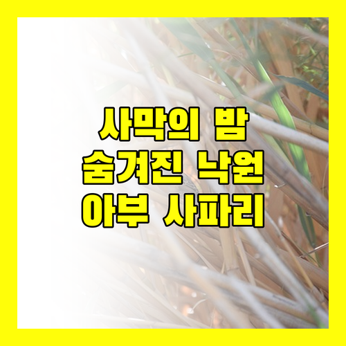 아부 사파리 데저트 숨겨진 낙원에서 즐기는 특별한 하룻밤