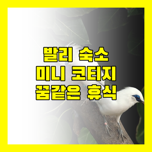 발리 산티 방갈로 평화로운 미니 코티지에서 꿈같은 휴식을!