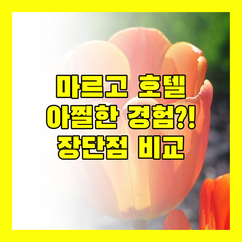 마르고 호텔 KK, 아찔했던 경험?! 장점과 단점 완벽 비교