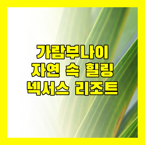 넥서스 리조트 가람부나이 자연 속 힐링 오래된 리조트의 매력 속으로