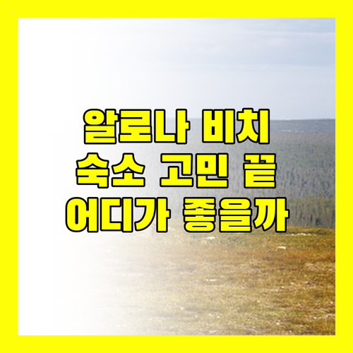 알로나 비치 숙소 고민 끝! 헤난 리조트 vs 보홀 펀 호텔, 당신의 선택은?
