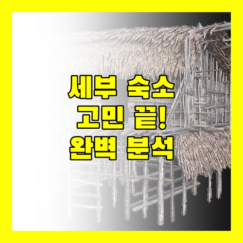 세부 숙소 선택 고민 끝 위치, 가격, 후기 완벽 분석