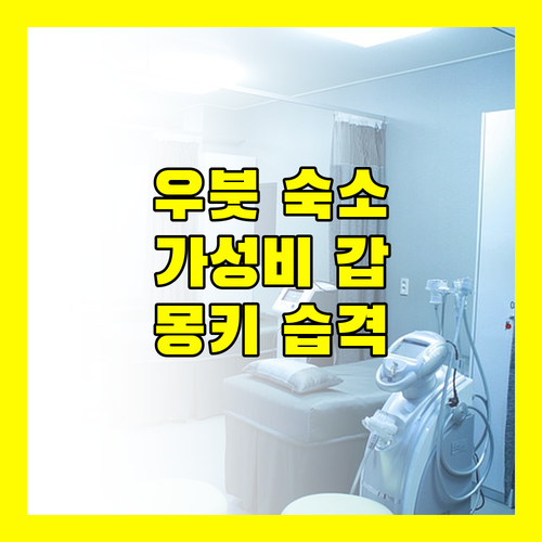 우붓 중심가 가성비 숙소 카자네 무아! 몽키 습격 조심