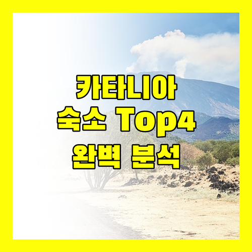 카타니아 여행자를 위한 추천 숙소 Top 4 완벽 분석