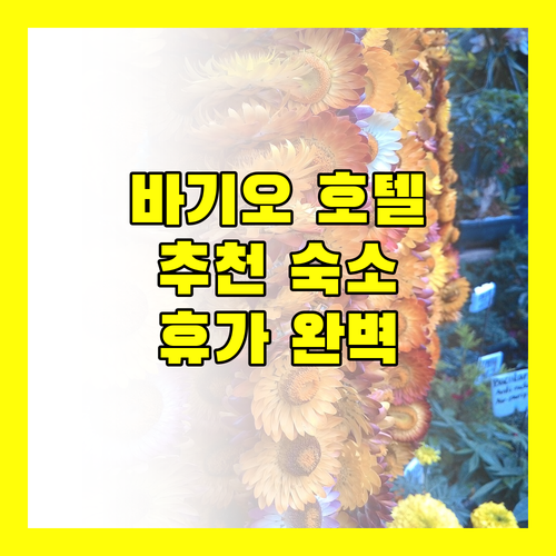 바기오 호텔 추천! 당신의 완벽한 휴가를 위한 선택은?