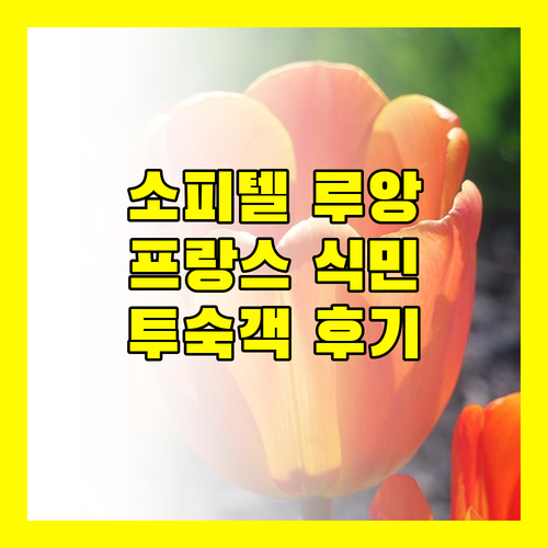 소피텔 루앙프라방, 프랑스 식민지풍 럭셔리의 정점! 실제 투숙객 후기 대방출