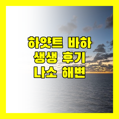 그랜드 하얏트 바하 마르 생생 후기 나소 해변의 럭셔리