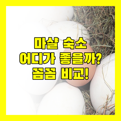 마샬 숙소 추천.. 트래블러 로지, 슈퍼 8, 퀄리티 인, 에버스프링 인 완벽 비교!