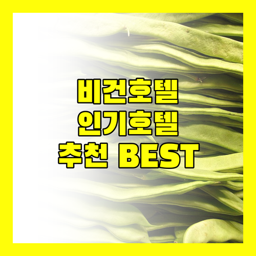 비간 인기 호텔 추천 호텔 루나, 해피 그레이 비간 등