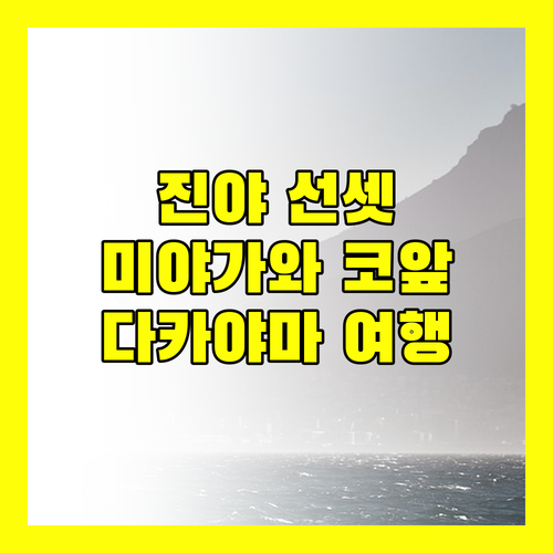 진야 선셋 인.. 다카야마 중심에서 즐기는 특별한 하루! 미야가와 시장이 코앞?