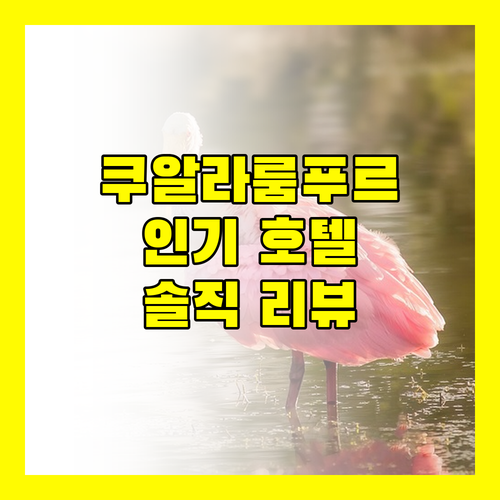 말레이시아 여행객 필독 쿠알라룸푸르 인기 호텔 리뷰 대방출