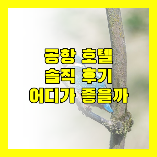 공항 호텔 어디가 좋을까 생생 후기 대방출