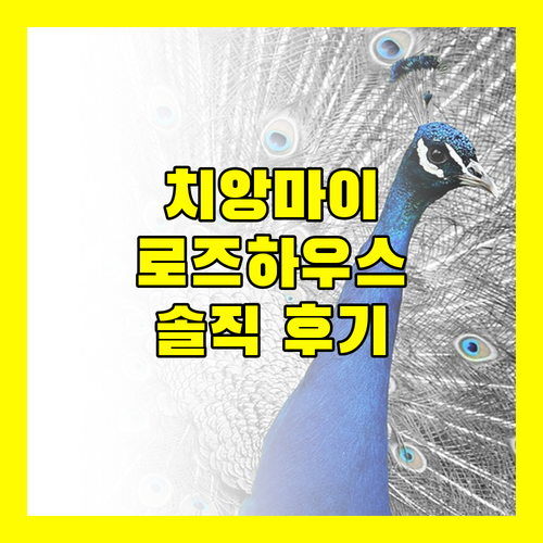 치앙마이 로즈 하우스 숙박 후기 가격 대비 만족도는?