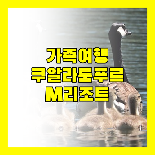 가족 여행객 주목! M 리조트 & 호텔, 쿠알라룸푸르 최고의 선택?