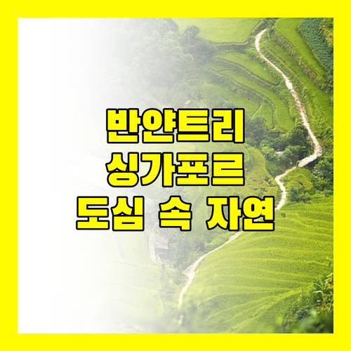 반얀트리 만다이 레인포레스트 리조트, 싱가포르 도심 속 자연을 만끽하세요!