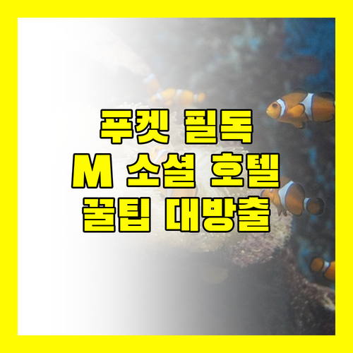 푸켓 여행객 필독 M 소셜 호텔 푸켓 완벽 분석 숙박 후기부터 꿀팁까지!